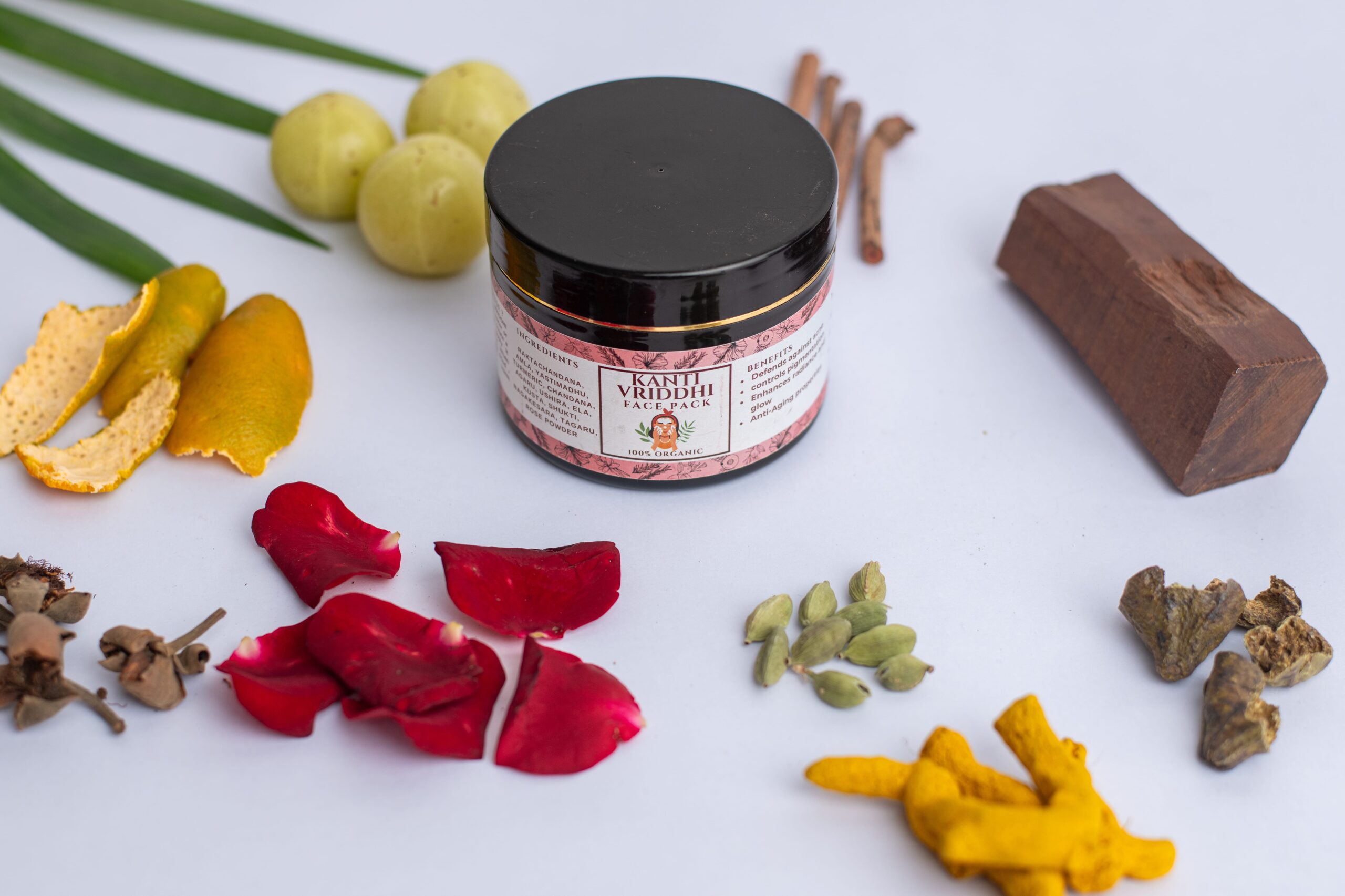 starlight succulent starlight succulent