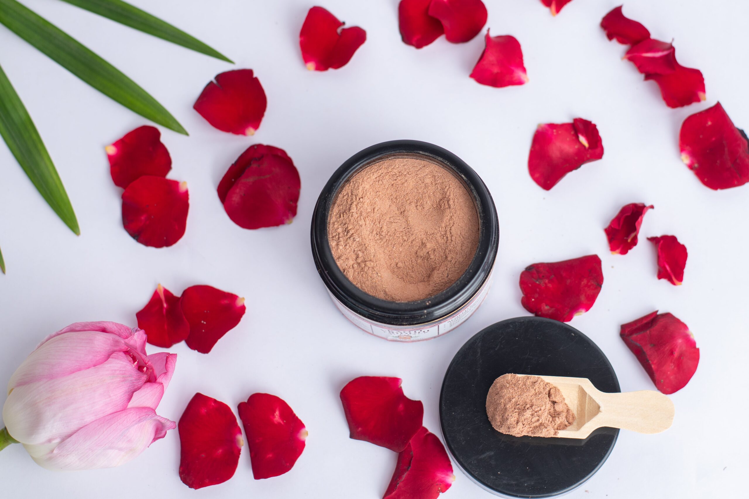 starlight succulent starlight succulent